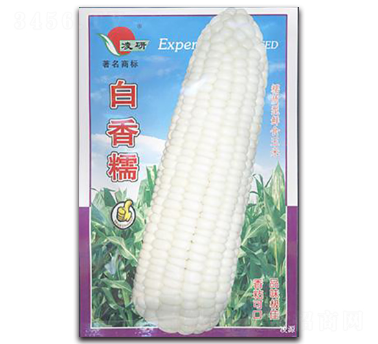 Ŵ-Ŵ׷N-ʴrI