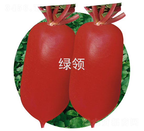 ļt1̖-}N-GI(lng)NI(y)