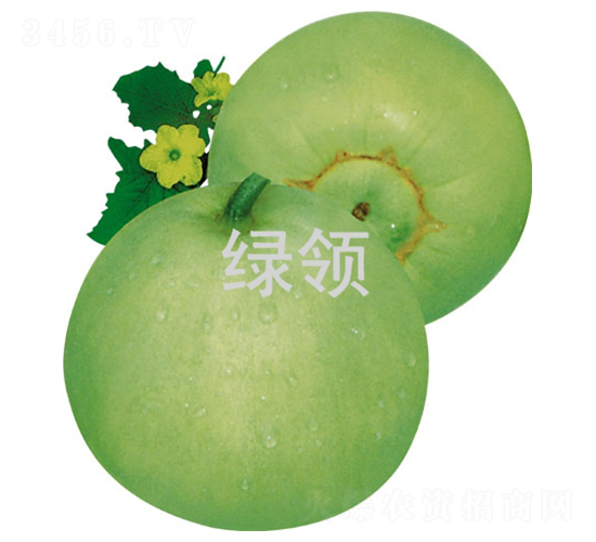 GI-ϷN-GINI