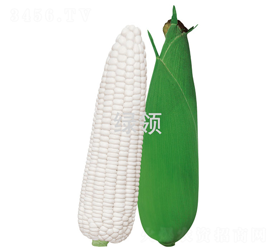 Ŵ1̖-׷N-GINI