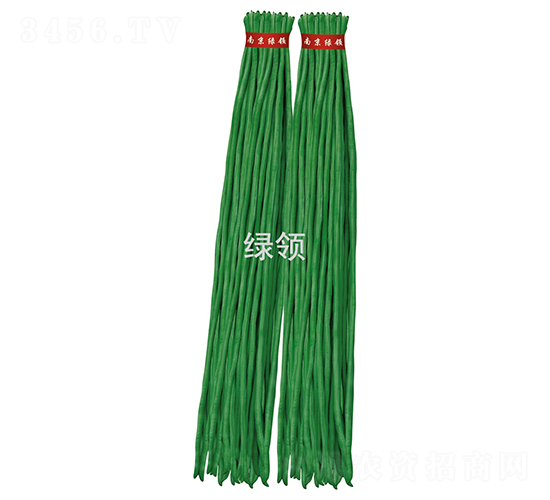 J14-80-豆角種子-綠領種業