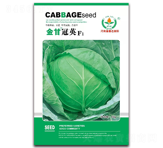 金甘冠英-甘藍種子-金蕾種苗