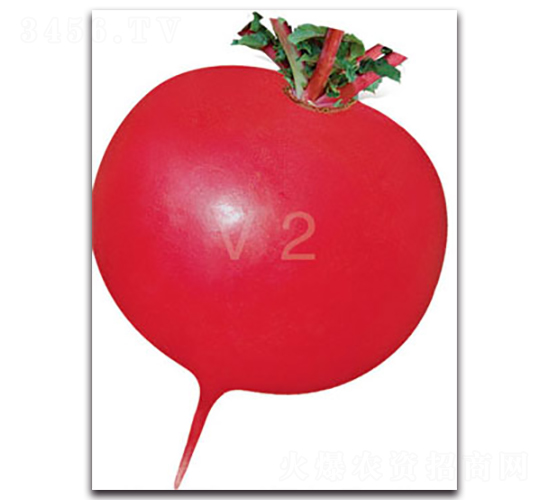 Srtv2-}N-SrrI