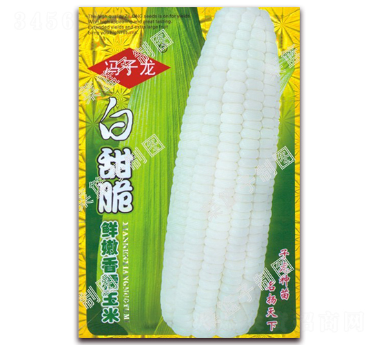 rŴ-Ŵ׷N-NI