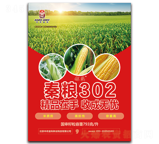 秦糧302-玉米種子-中農金科