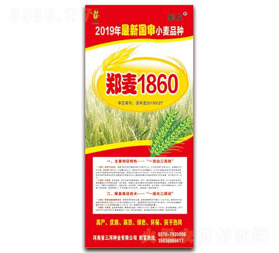 鄭麥1860-小麥種子-三河種業