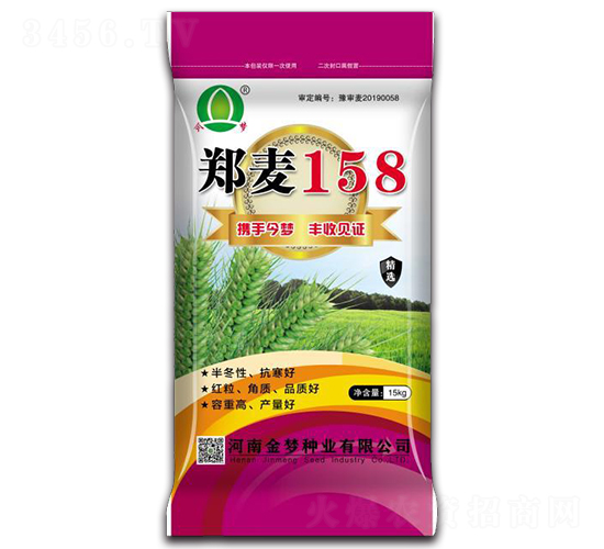 鄭麥158-小麥種子（15kg）-金夢種業(yè)