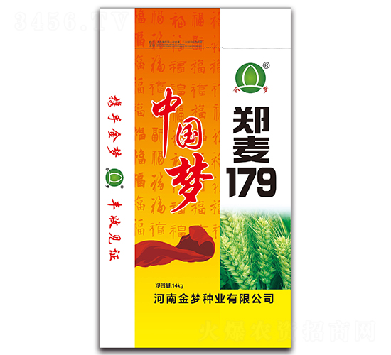 鄭麥179-小麥種子-金夢種業