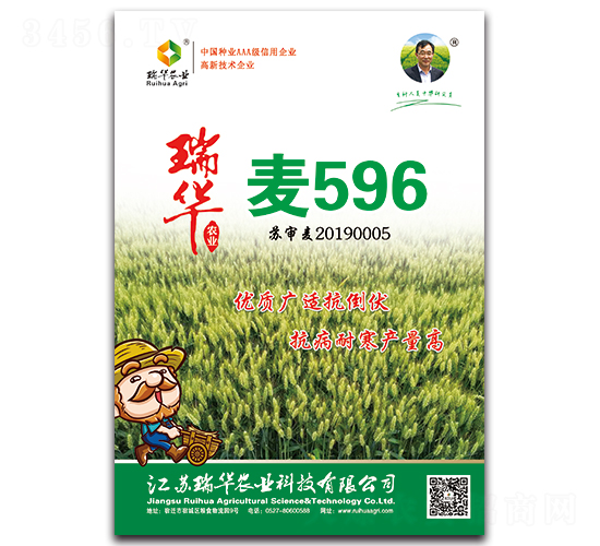 瑞華麥596-小麥種子-瑞華農業