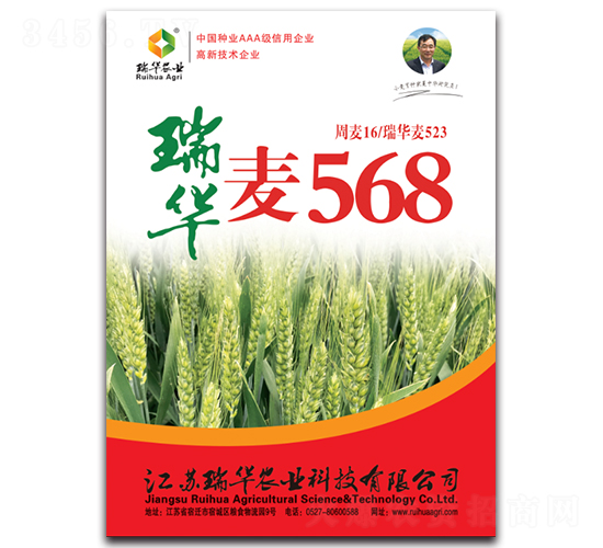 瑞華麥568-小麥種子-瑞華農業(yè)