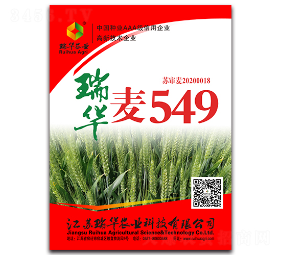 瑞華麥549-小麥種子-瑞華農業