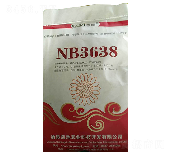 NB3638տN-NI