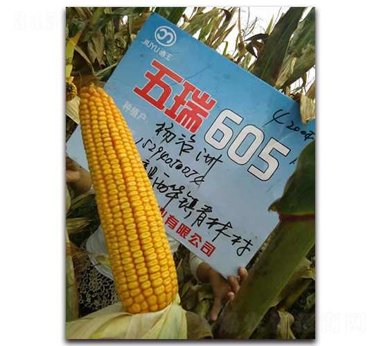 605-׷N-NI