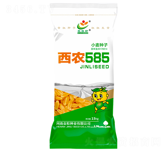 西農585-小麥種子-金粒種業