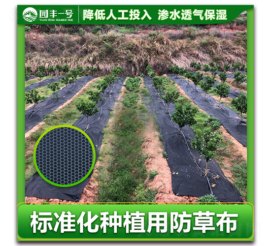 標準化種植用園豐一號防草布