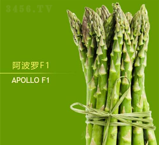 阿波羅F1-蘆筍種子-益碩豐農業