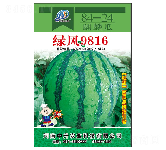 GL9816-ϷN-rI