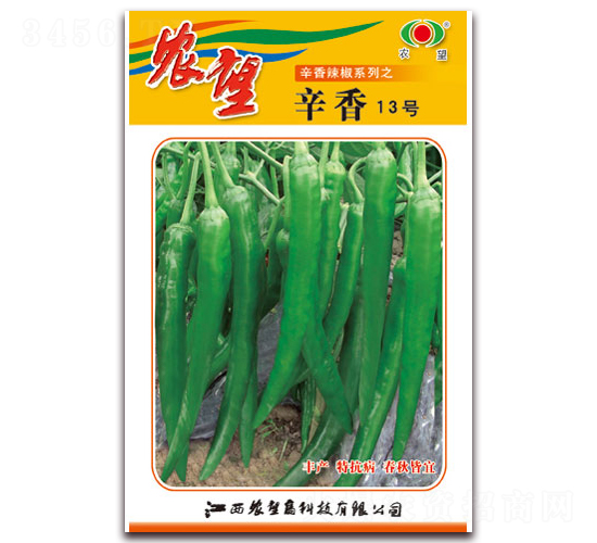 辛香13號-尖椒種子-農望