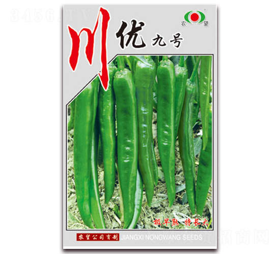 川優9號-辣椒種子-農望