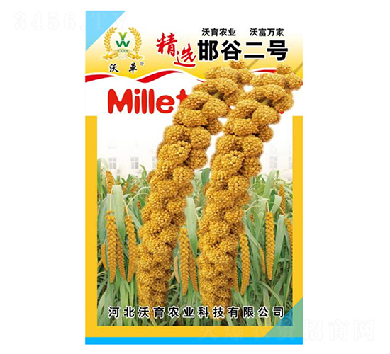 邯谷2號-水稻種子-沃育農業