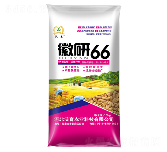 徽研66-小麥種子-沃育農業