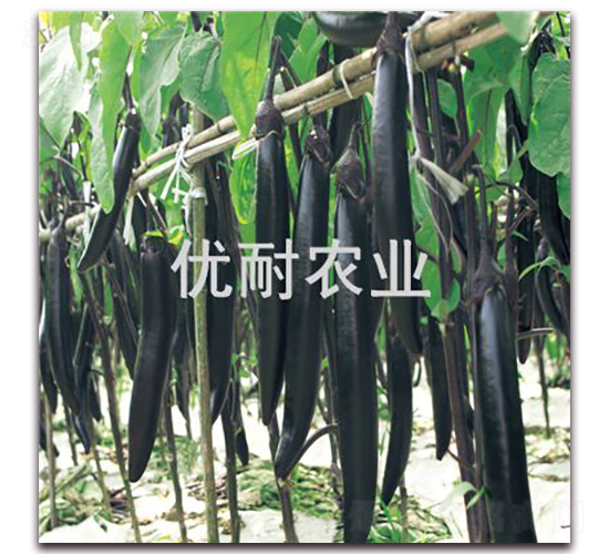 (yu)ī1013-ӷN-(yu)rI(y)