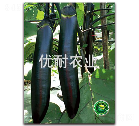 ī1016-ӷN-rI