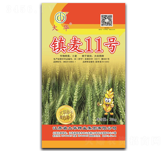 鎮(zhèn)麥11號-小麥種子-大華種業(yè)