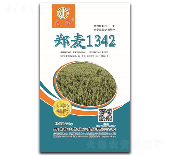 鄭麥1342-小麥種子-大華種業