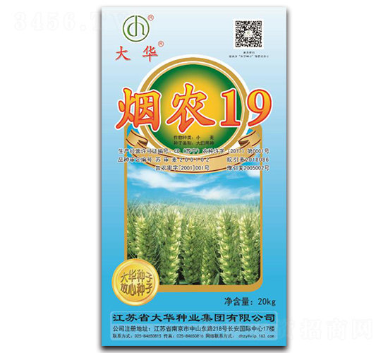 煙農19-小麥種子-大華種業