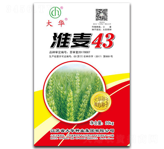 淮麥43-小麥種子-大華種業