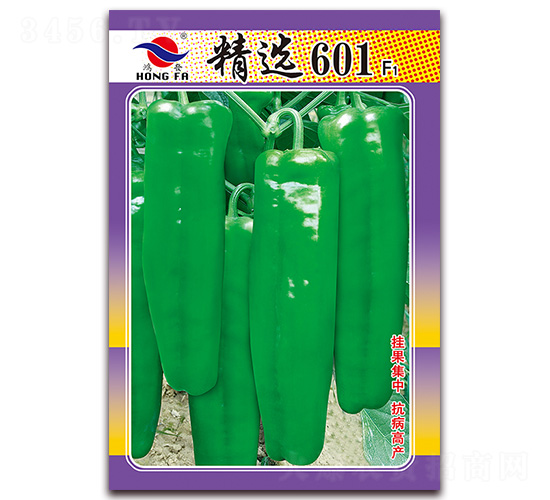 x601-ƤݽN-tlNI