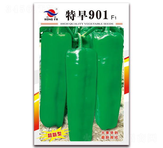 901-ƤݽN-tlNI