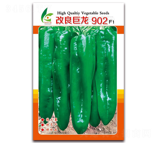 902-ƤݽN-tlNI
