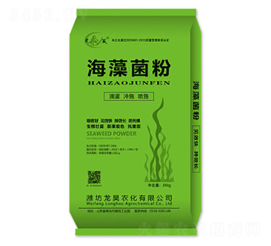-껷ʘI