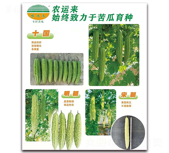 十國+明朝+宋朝-苦瓜種子-農(nóng)運(yùn)來