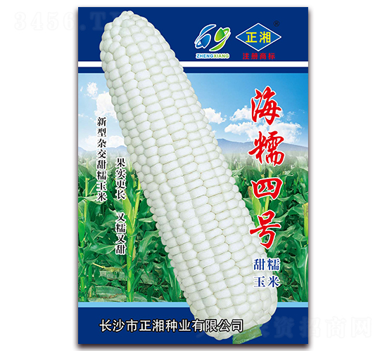 Ŵ̖-Ŵ׷N-NI