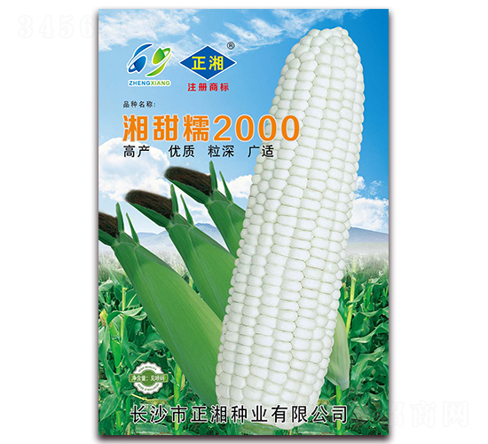 Ŵ2000-Ŵ׷N-NI