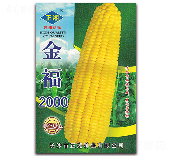 2000-Ŵ׷N-NI