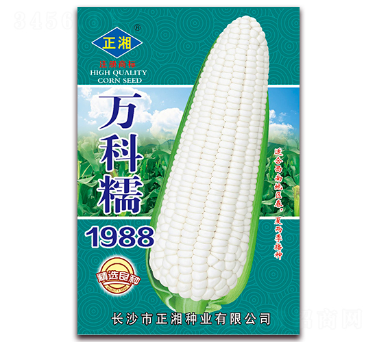 fŴ1988-Ŵ׷N-NI