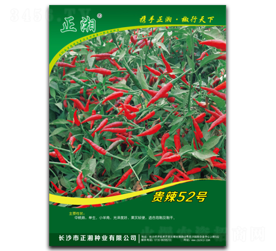 F52̖-콷N-NI