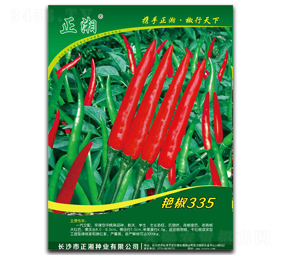 G335-콷N-NI