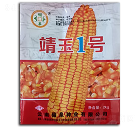 靖玉1號-儲泉種業