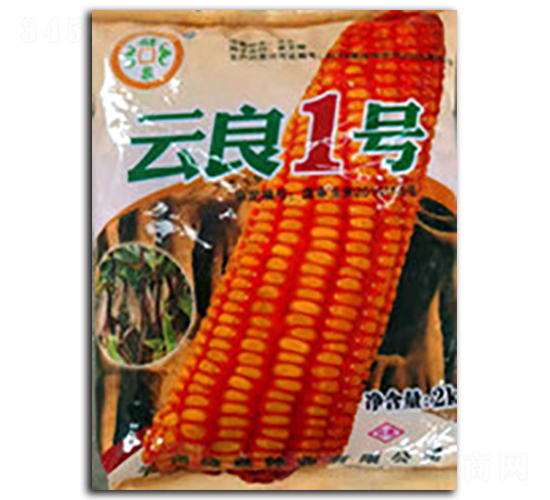 1̖-ȪNI(y)