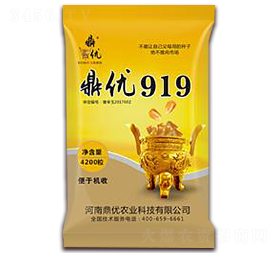 鼎優919-玉米種子-鼎優農業