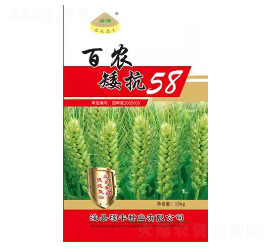 百農矮抗58-小麥種子-碩豐