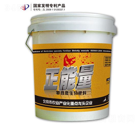 正能量-阿姆斯