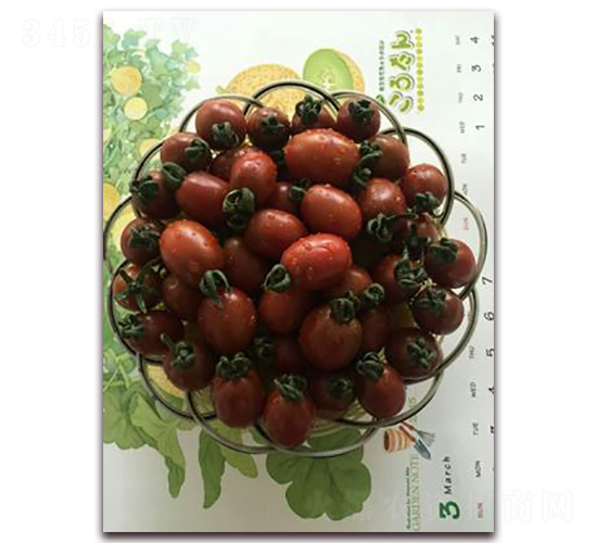 黑小子-番茄種子-禾誠種苗