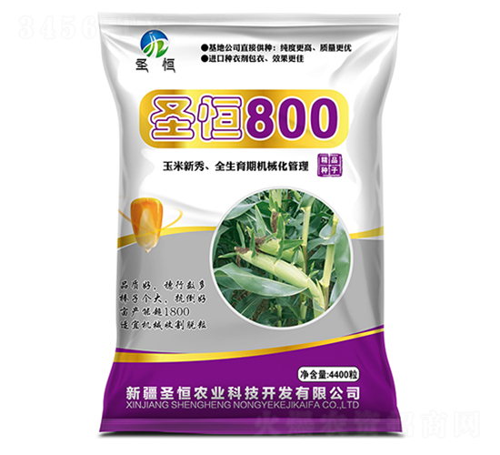 ʥ800-NI