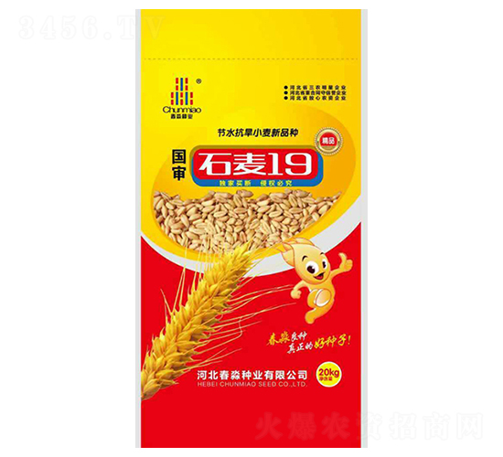 ʯ19̖-NI